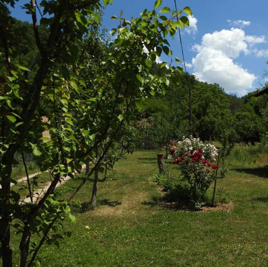 Omar & Una Apartmani Bihać 외부 사진